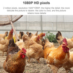 QX5 2.0 Million Pixels 1080P HD 20X Zoom Wireless WiFi Dome Smart Camera, Support Infrared Night Vision / Motion Detection / Voice Intercom / TF Card, AU Plug