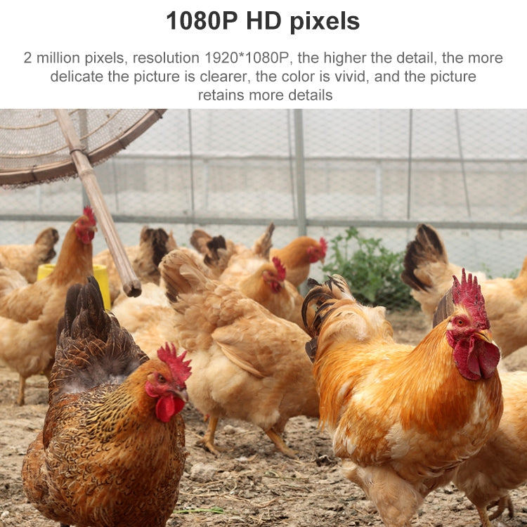 QX5 2.0 Million Pixels 1080P HD 20X Zoom Wireless WiFi Dome Smart Camera, Support Infrared Night Vision / Motion Detection / Voice Intercom / TF Card, AU Plug