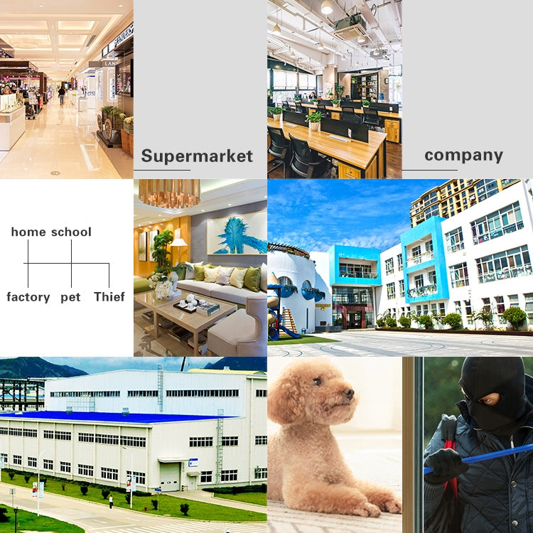 DP16 2.0 Megapixel 42 LEDs Garden Light Smart Camera, Support Motion Detection / Night Vision / Voice Intercom / TF Card, AU Plug