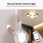 2 Buttons Intelligent Switch Smart Wall Switch