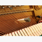 10 in 1 Piano Tuning Wrench Set