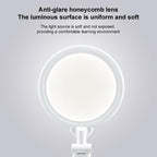 LED Natural Light AA Grade Eye Protection Foldable Study Desk Lamp