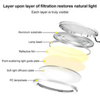 LED Natural Light AA Grade Eye Protection Foldable Study Desk Lamp
