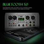 DEBRA PRMX-6 4-Channels Audio Mixer DSP Reverb for Live Recording