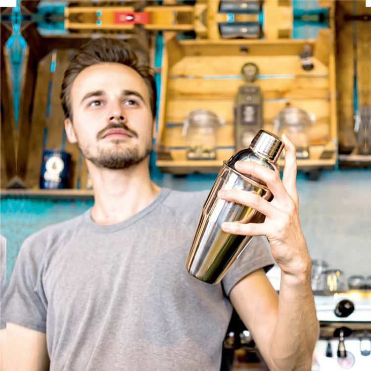 12 in 1 Stainless Steel Wine Cocktail Shaker Tools Set with Cloth Bag, Boston 800600M