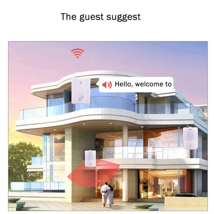 YF-0156 1 to 2 Good Safe Wireless Electro Guard Watch Remote Detective System Kit for Home Office, 1 x Receiver + 2 x  Detector