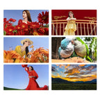 HUAWEI Pura 80, 12GB+256GB, Side Fingerprint Identification, 6.6 inch HarmonyOS 5.1, NFC, OTG, Not Support Google Play