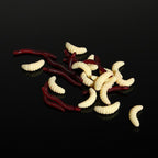 101 PCS Fishing Bait Lure Kit Fishing Tackle