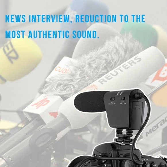 DEBO YS-8 Professional Photography Interview Dedicated Microphone for DSLR & DV Camcorder