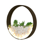 Living Room Background Wall Bedroom Bedside Round Succulent Garden Decorative Wall Lamp