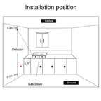 Wireless Gas Detector Alarm Leakage Sensor Natural Gas Leak Detector