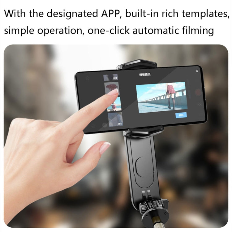 Removable Fill Light Phone Handheld Stabilizer with APP