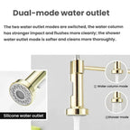 Single Function Kitchen Spring Faucet With Base Plate Hot and Cold Water Swivel Sink Pull Out Faucet