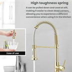 Single Function Kitchen Spring Faucet With Base Plate Hot and Cold Water Swivel Sink Pull Out Faucet