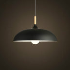 40W 35cm Minimalist Creative Personality Semi-circular Lid Chandelier Wrought Iron Single-head Restaurant Living Room Hotel Lamps